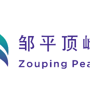 邹平顶峰热电有限公司logo
